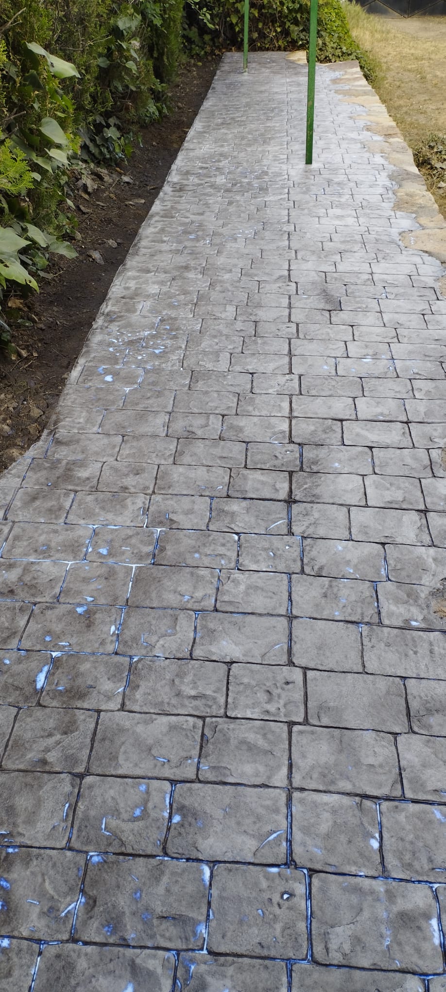 Pavimento exterior de hormigón impreso en jardín formal con setos